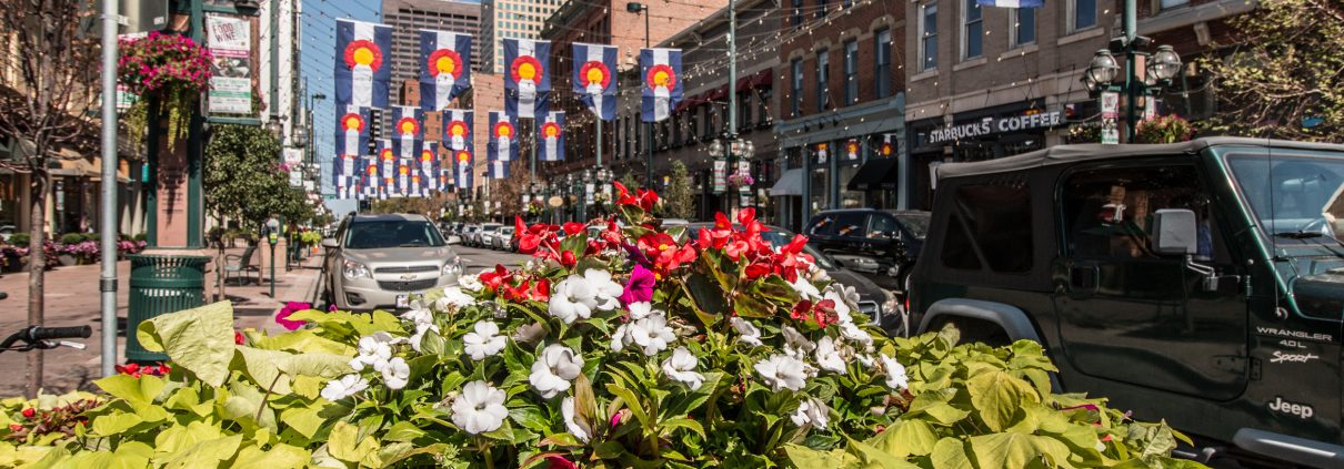 Flowers in Larimer Square in Denver