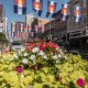 Flowers in Larimer Square in Denver