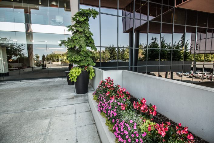 Factoria Campus planters with flowers